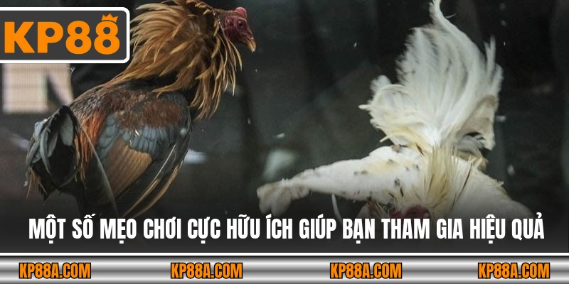 Một số mẹo chơi cực hữu ích giúp bạn tham gia hiệu quả