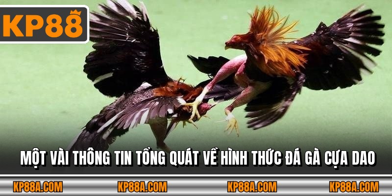Một vài thông tin tổng quát về hình thức đá gà cựa dao