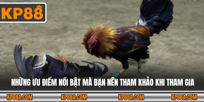 Những ưu điểm nổi bật mà bạn nên tham khảo khi tham gia