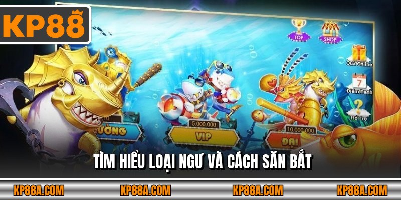 Tìm hiểu loại ngư và cách săn bắt